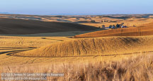 Palouse | Student Photos