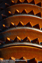 Palouse | Student Photos
