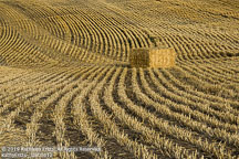 Palouse | Student Photos