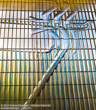 Prague | Student Photos