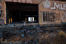 Salton Sea | Student Candids
