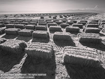 Salton Sea | Student Photos