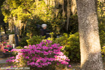 Savannah | Student Candids