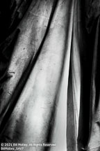 Savannah | Student Photos