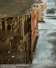 Savannah | Student Photos