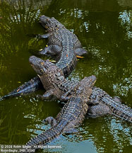 Savannah | Student Photos